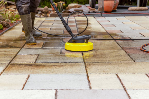 Best Dumpster Area Cleaning  in Albertson, NY